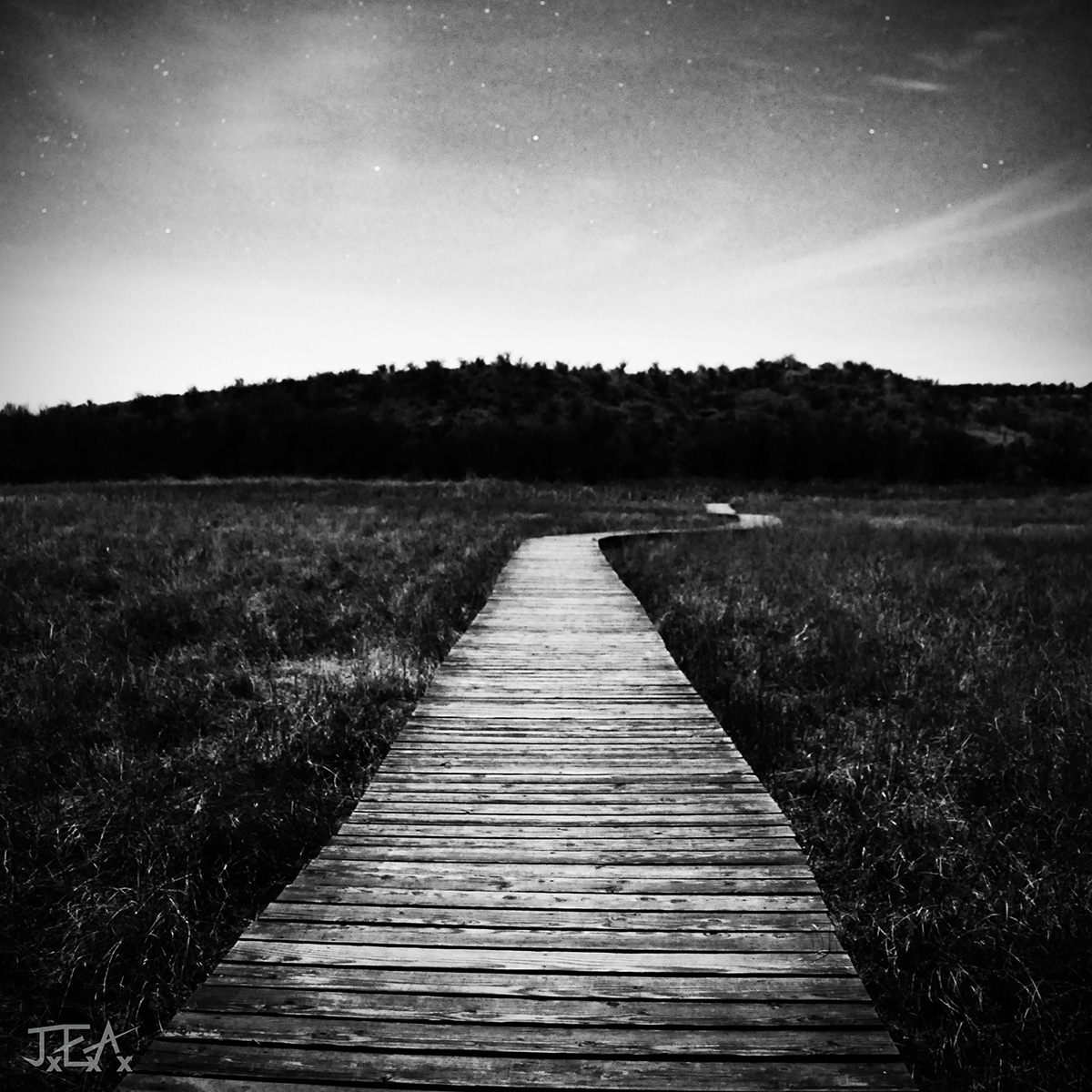 A square format black and white image of a boardwalk in a wildlife refuge at night with starry skies.