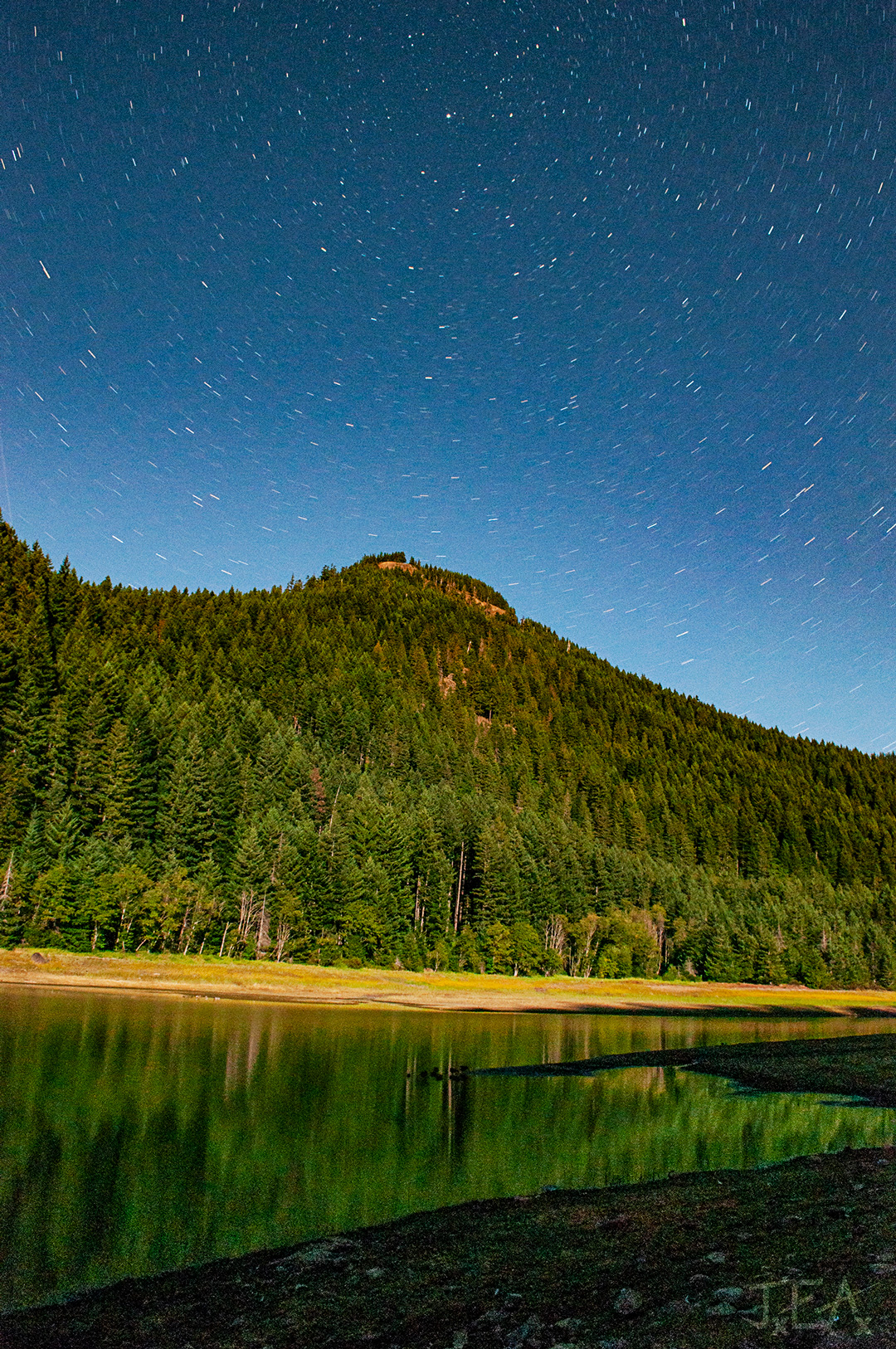 The stars shine above a forested mountain with a river flowing in front of it.