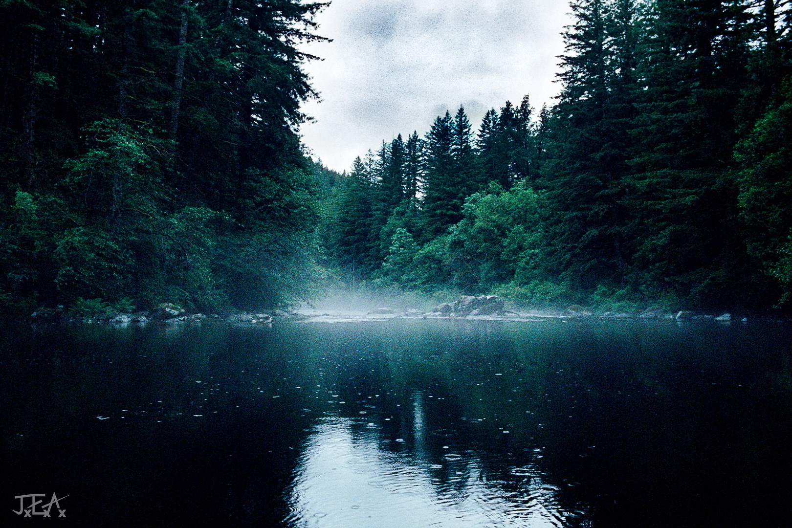 A foggy river bend surrounded by dense forest.