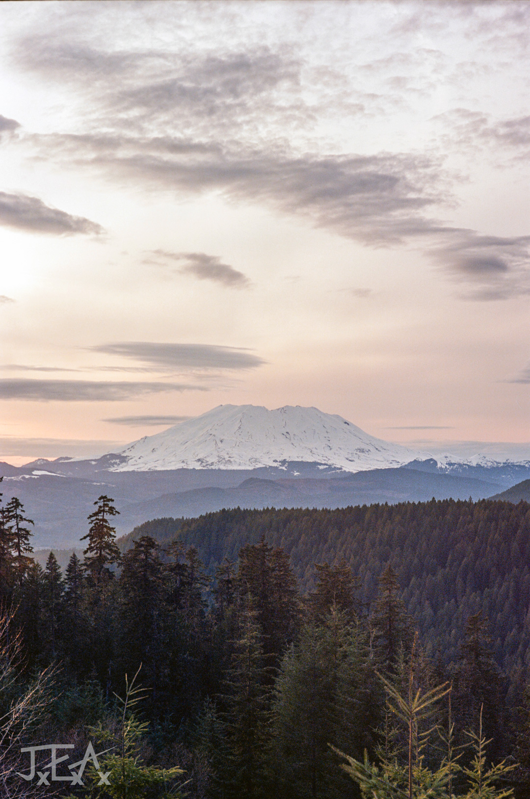 A portrait image of Mt St Helens seen from Mcclellan viewpoint in the Gifford Pinchot National Forest.