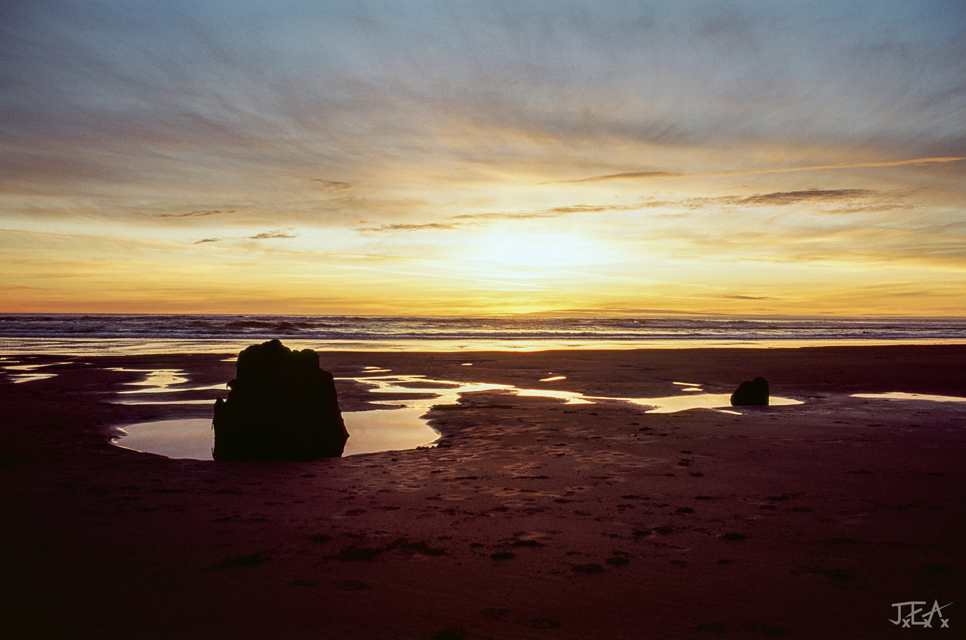 A landscape image of an ancient stump on Neskowin Beach at sunset.