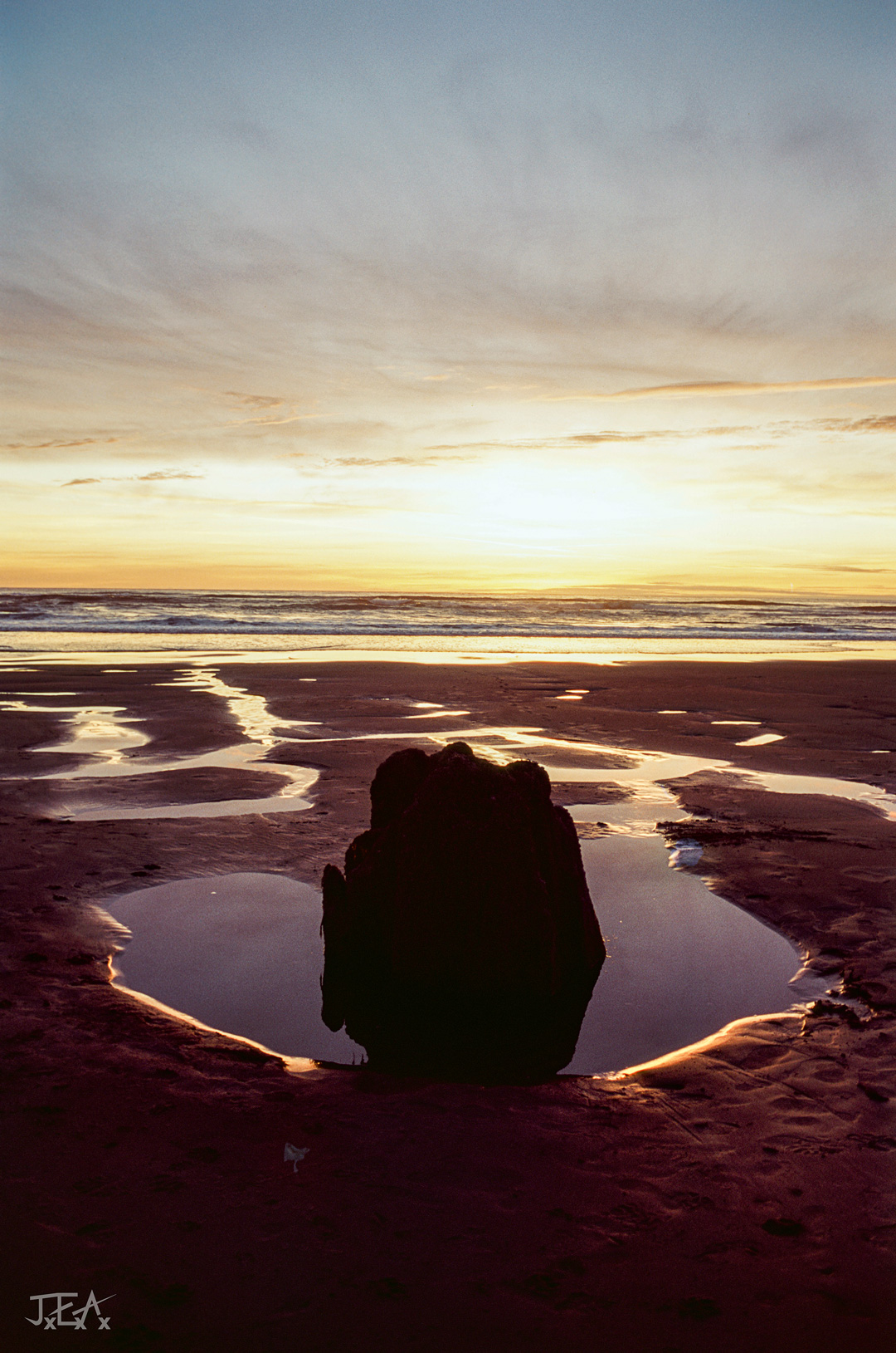 A portrait image of an ancient stump on Neskowin Beach at sunset.