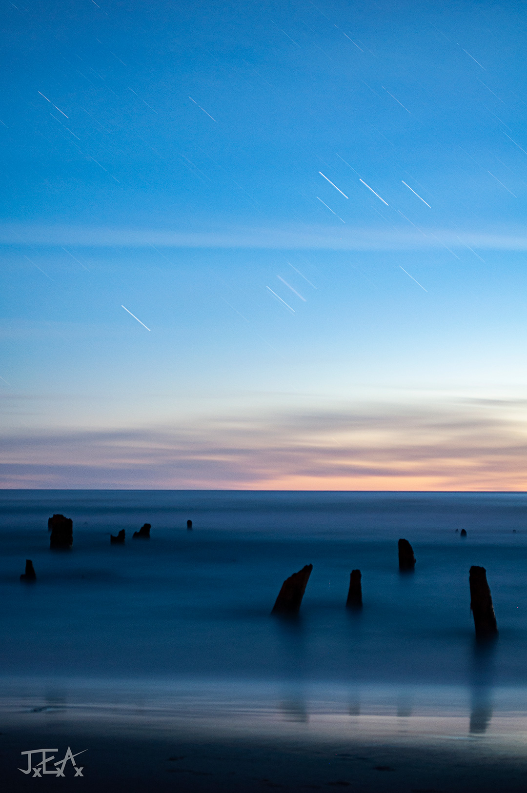 A portrait image of the Neskowin Ghost Forest at twilight.